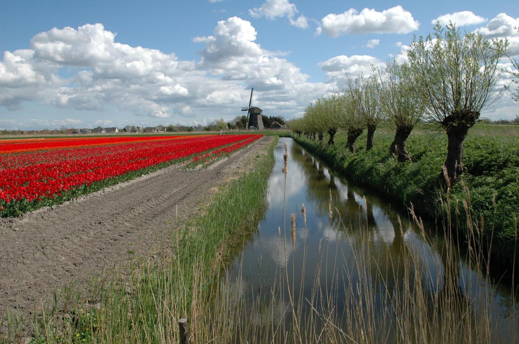 Restinn Medemblik Wieringerwerf Exterior foto
