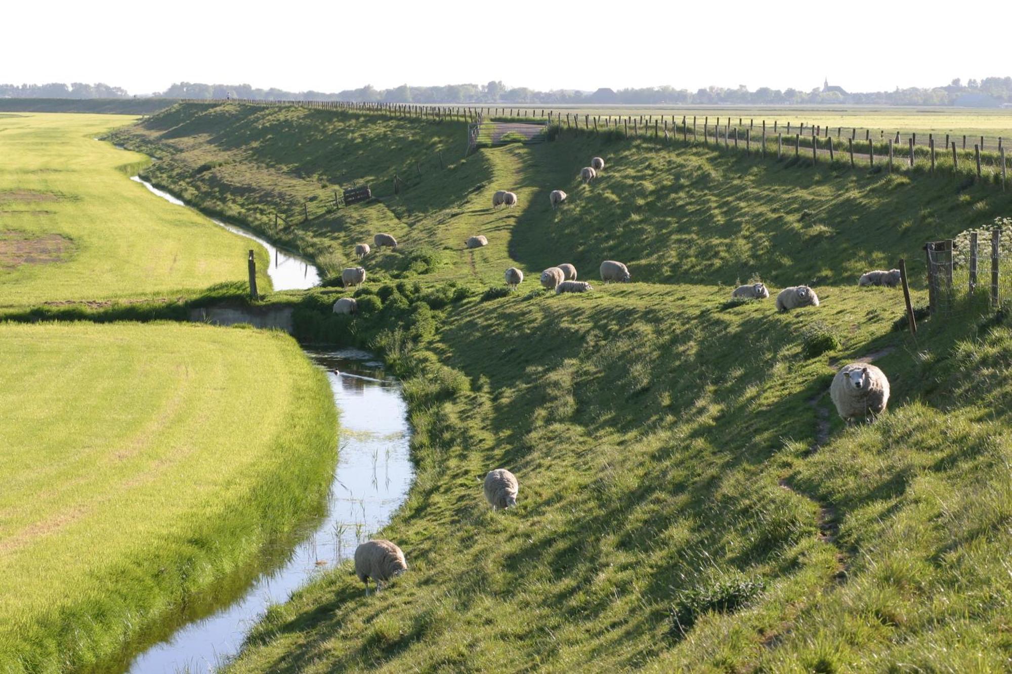 Restinn Medemblik Wieringerwerf Exterior foto